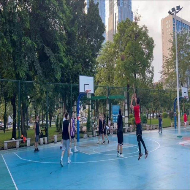 篮球季后赛走势解析：数据揭秘下的胜负关键
